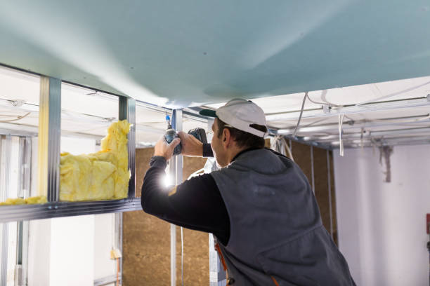 Best Specialized Insulation Services in Munford, TN