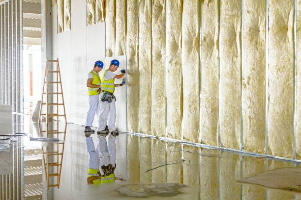 Best Blown-in Insulation in Munford, TN